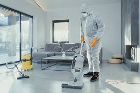 Deep Home Cleaning