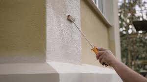 Exterior Wall Painting
